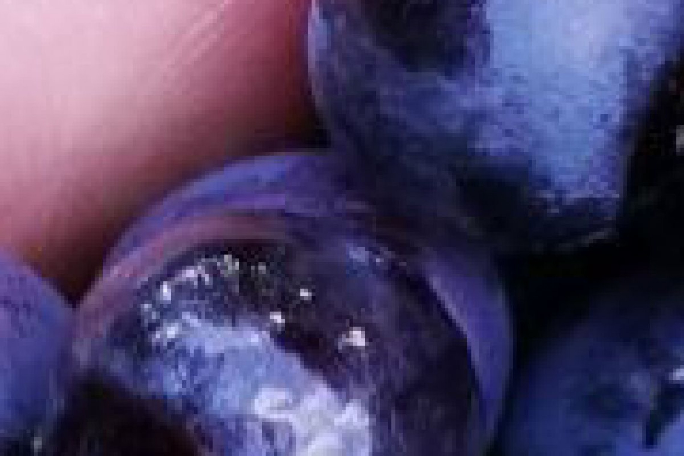 Heidelbeeren in einer Hand