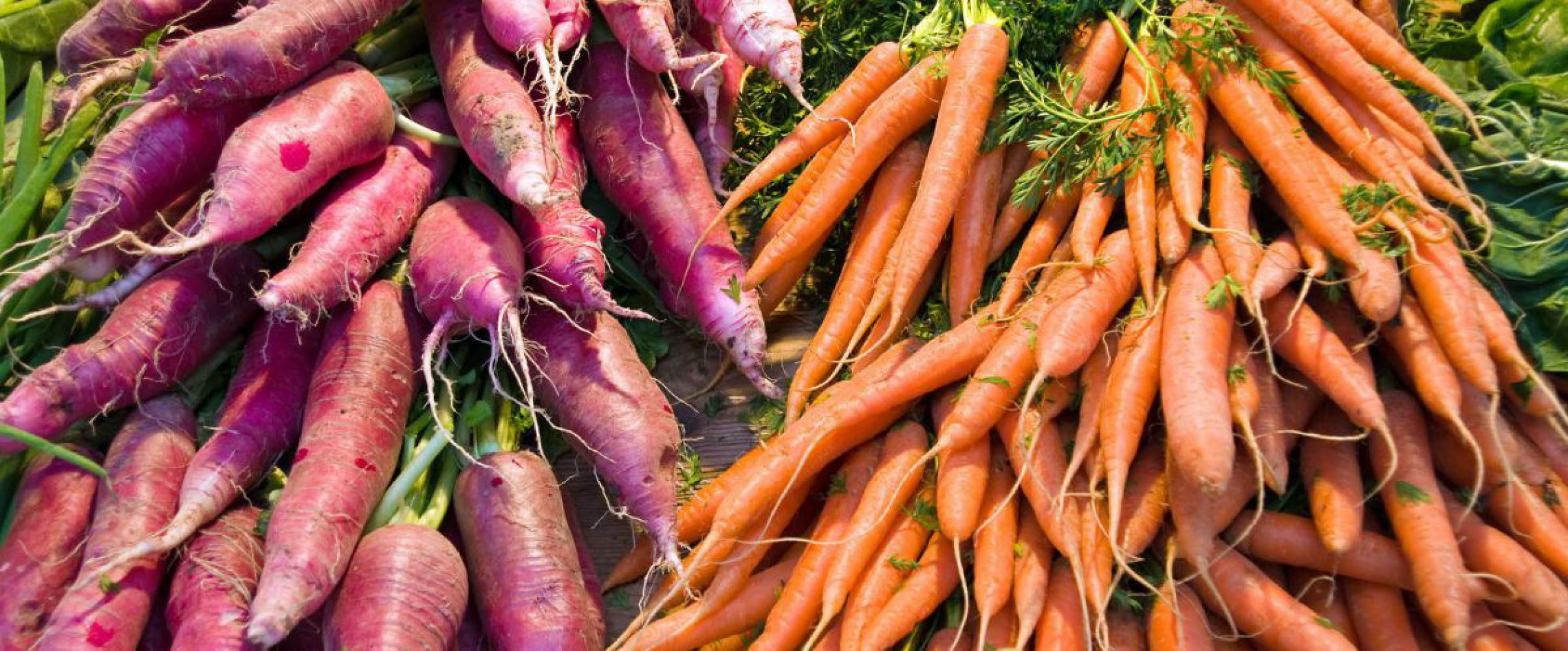 Rettich und Karotten zu Haufen zusammengelegt 