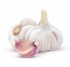 Knoblauch