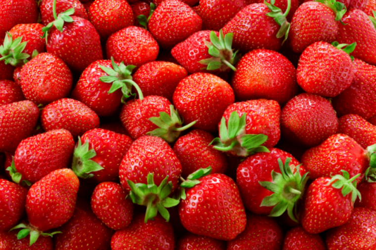erdbeeren_website