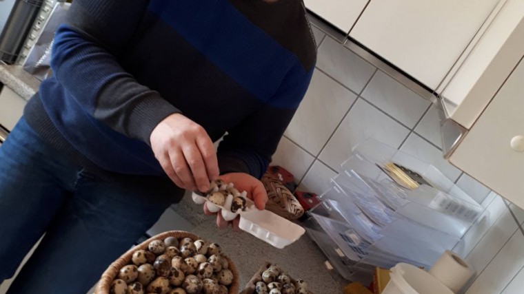 Berginghof, Herr Plank beim Wachteleier sortieren