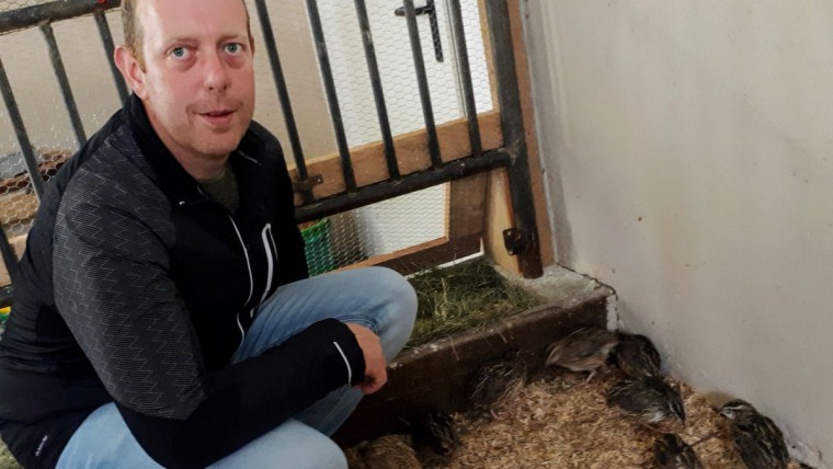 Herbert Plank mit Wachteln