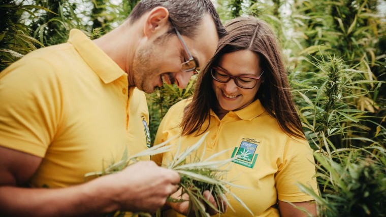 hanfwelt-riegler-nurscher-c-wedro-gmbh-3