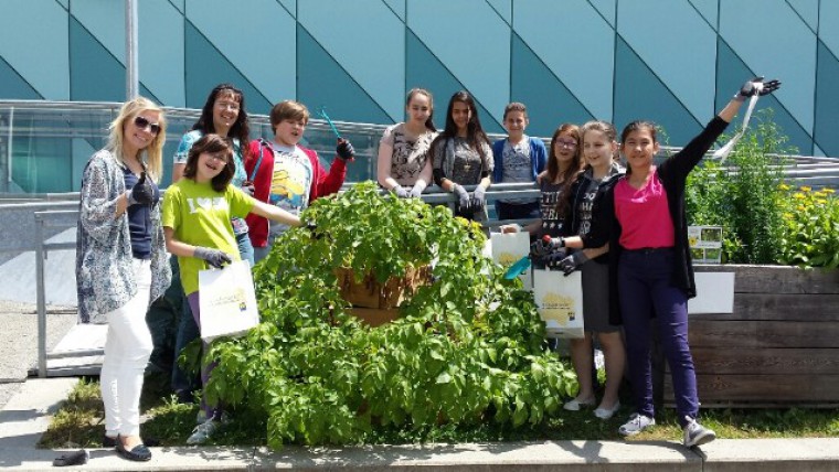 Eine Neue Mittelschule mit einer reich bepflanzten Erdäpfelpyramide