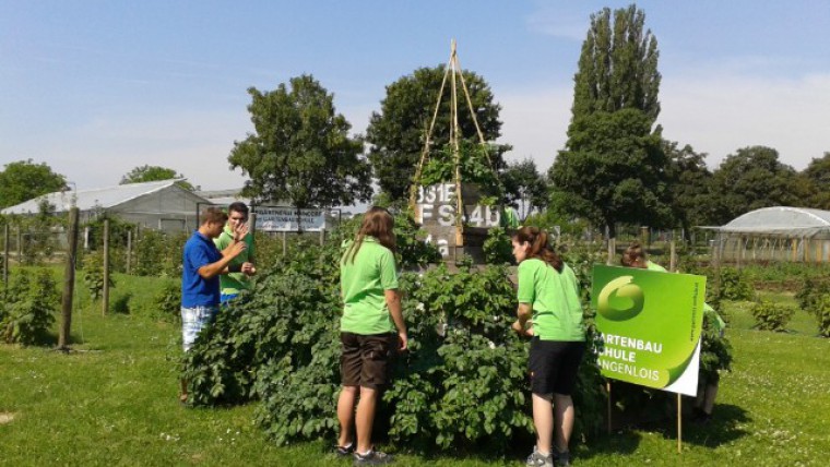 Jugendliche beim Pflegen der Erdäpfelpyramide in der Gartenbauschule Langenlois