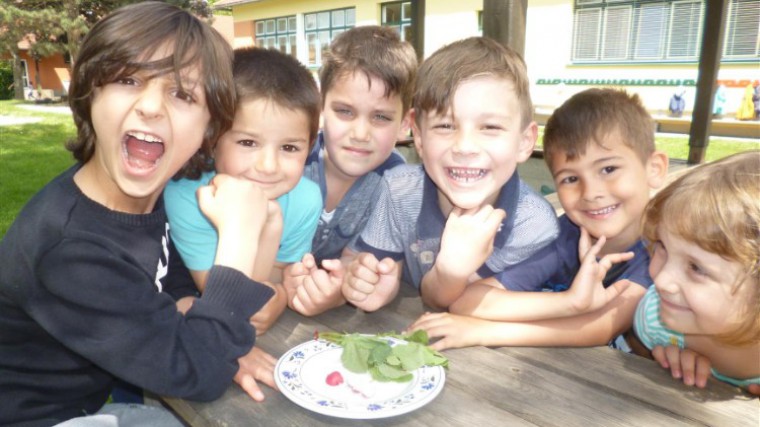 Kindergarten Krems-Lerchenfeld mit frischem Gemüse