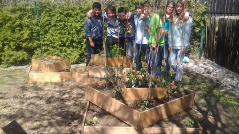nms standrae ursulavender