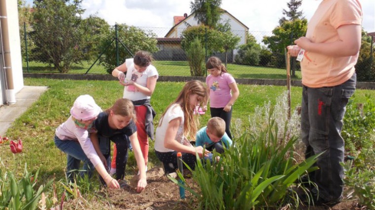 Volkschule Hohenruppersdorf beim Arbeiten im Gemüsebeet