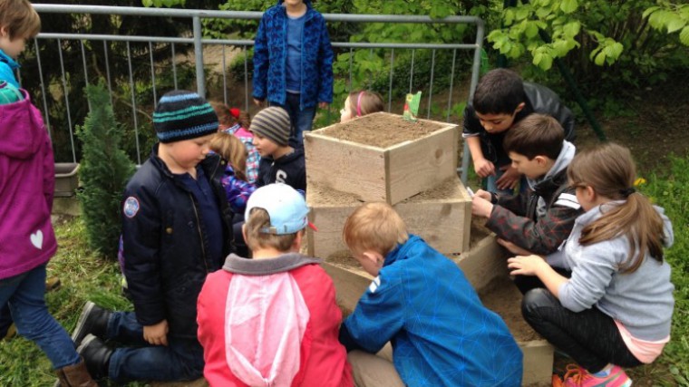 Volkschule Königsbrunn mit Gemüsepyramide