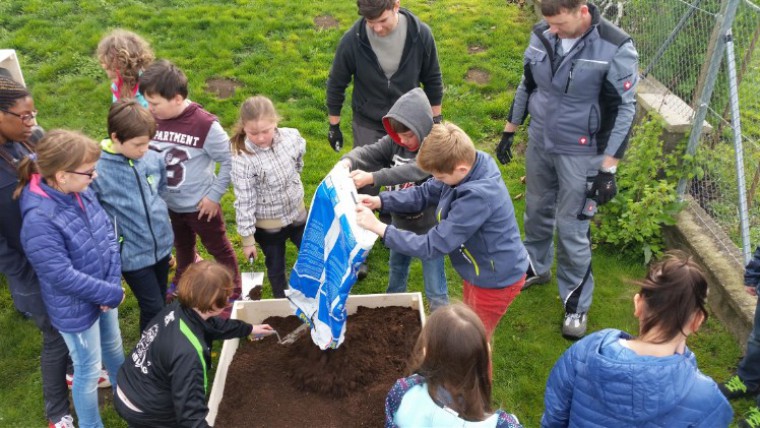 Volkschule Statzendorf mit Gemüsepyramide