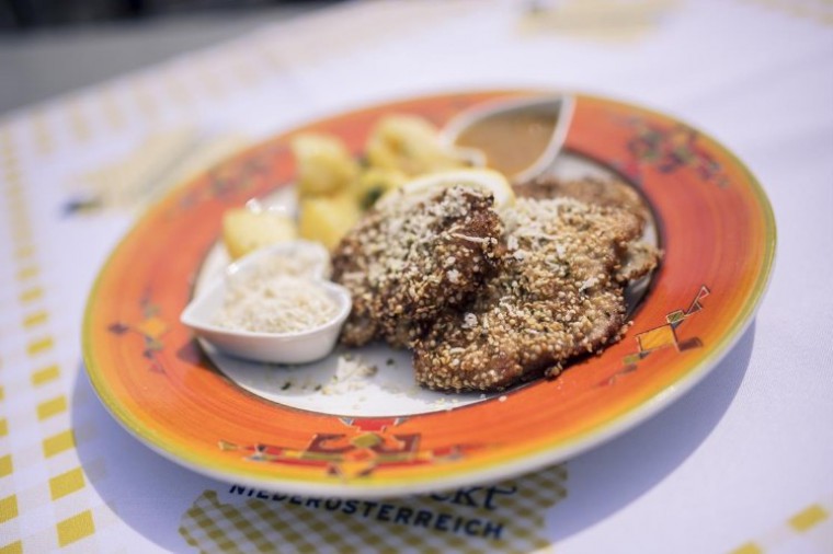 Wels auf Erdäpfeldach - So schmeckt NÖ