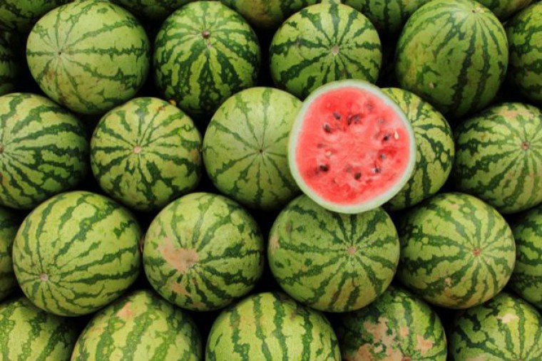 Ganze Wassermelonen und eine aufgeschnittene Melone
