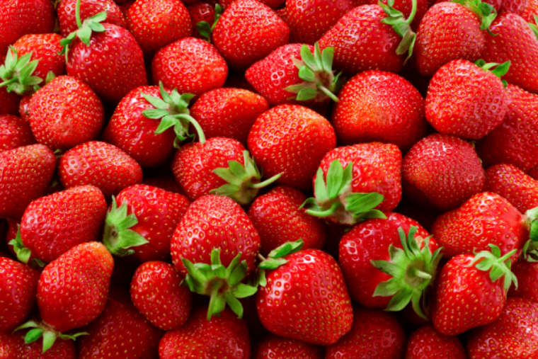 erdbeeren_website