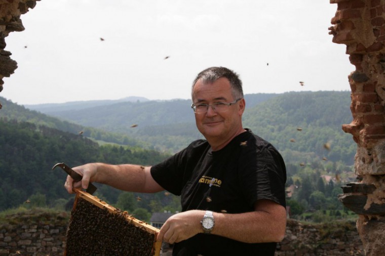 Kampbiene, Imker Hubert Steiner mit Bienenwaben