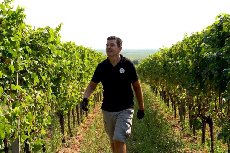 Mario Altan im Weingarten