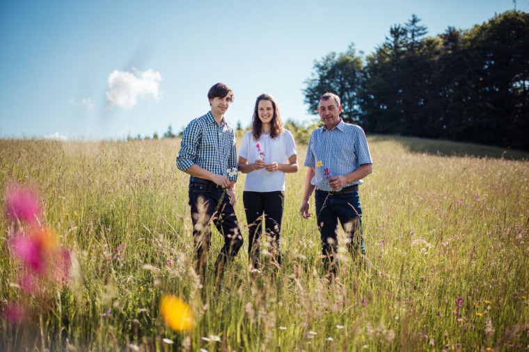 Familie Sommer auf der Wiese