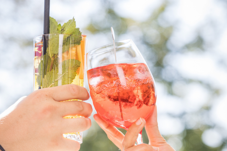 shrub-cheers-c-netzwerk-kulinarik-_-wild-und-team-fotoagentur