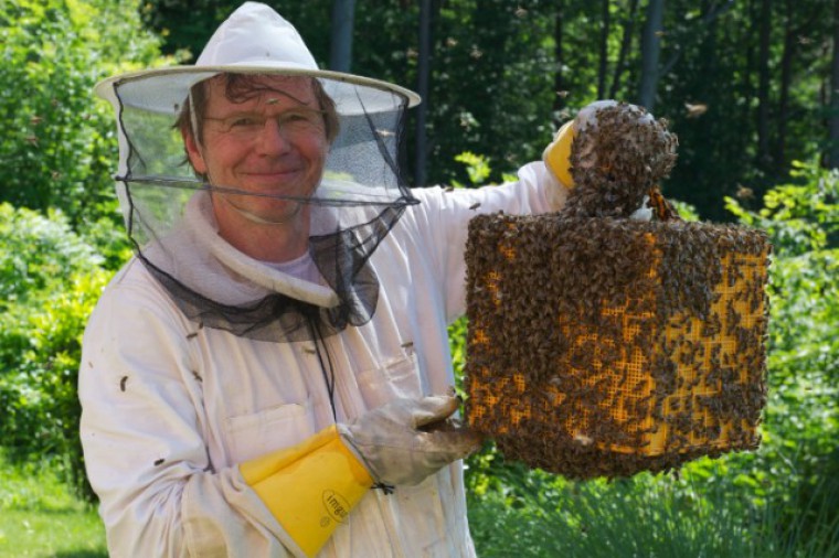 Ambroso Bienen