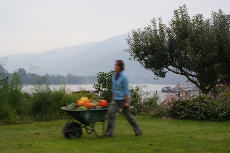 Donaugarten