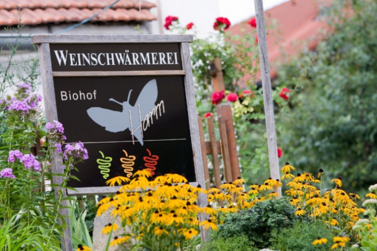 Bio Weingut Harm Schild