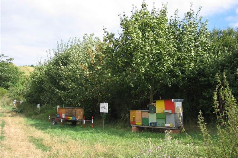 Imkerei Gruscher Bienenlehrpfad