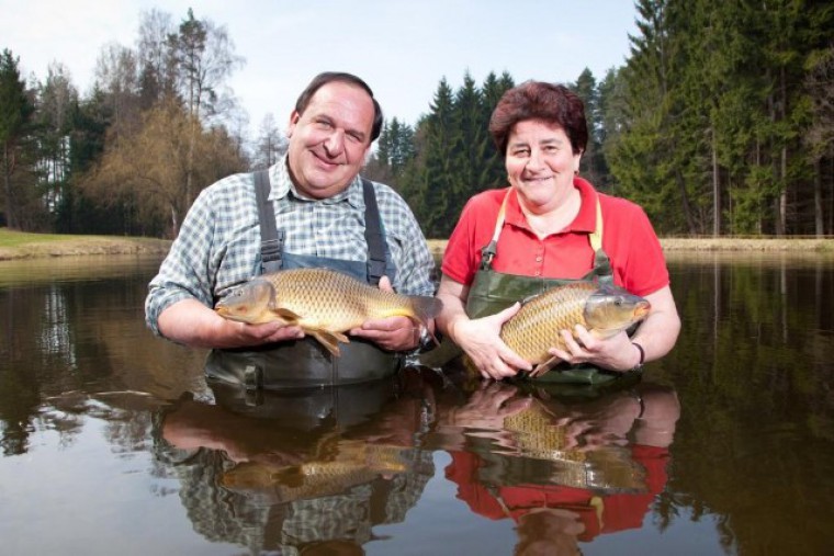 Hofbauers im Wasser