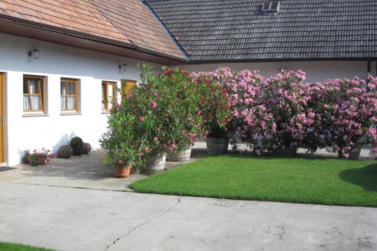 Weingut Eichberger von außen