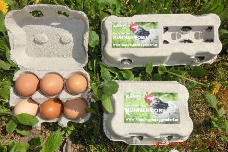 Eier verpackt in Eierkartons