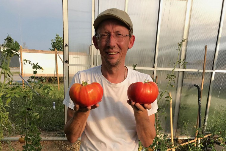 Peters Land Gro&szlig;e Paradeiser