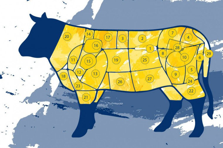 Fleischaufteilung vom Rind