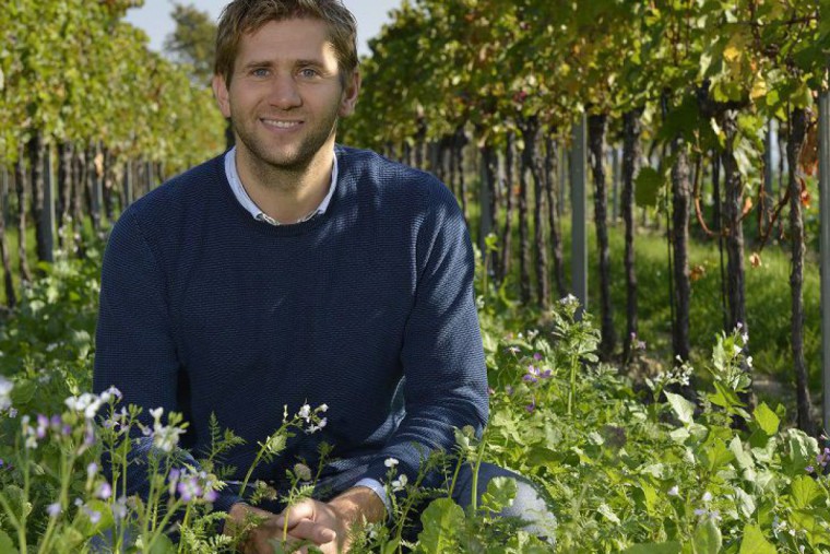 Weingut Markus Huber im Weingarten