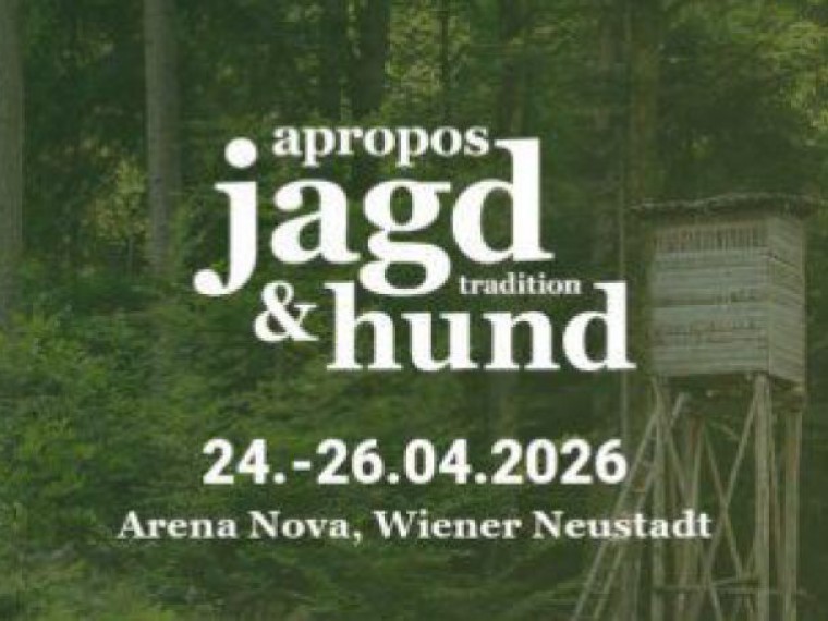 medienkit-11-facebook_header-600x228