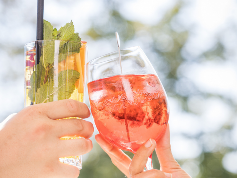 shrub-cheers-c-netzwerk-kulinarik-_-wild-und-team-fotoagentur
