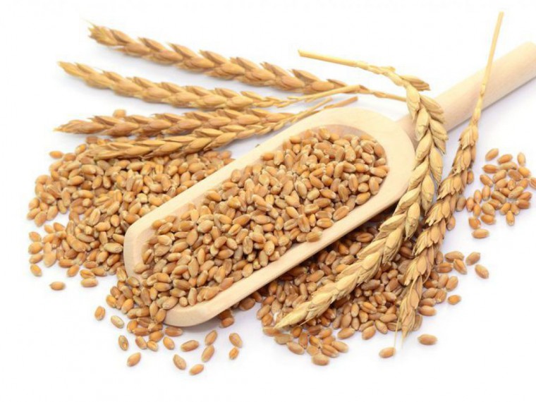 Getreidehalme und &Auml;hren