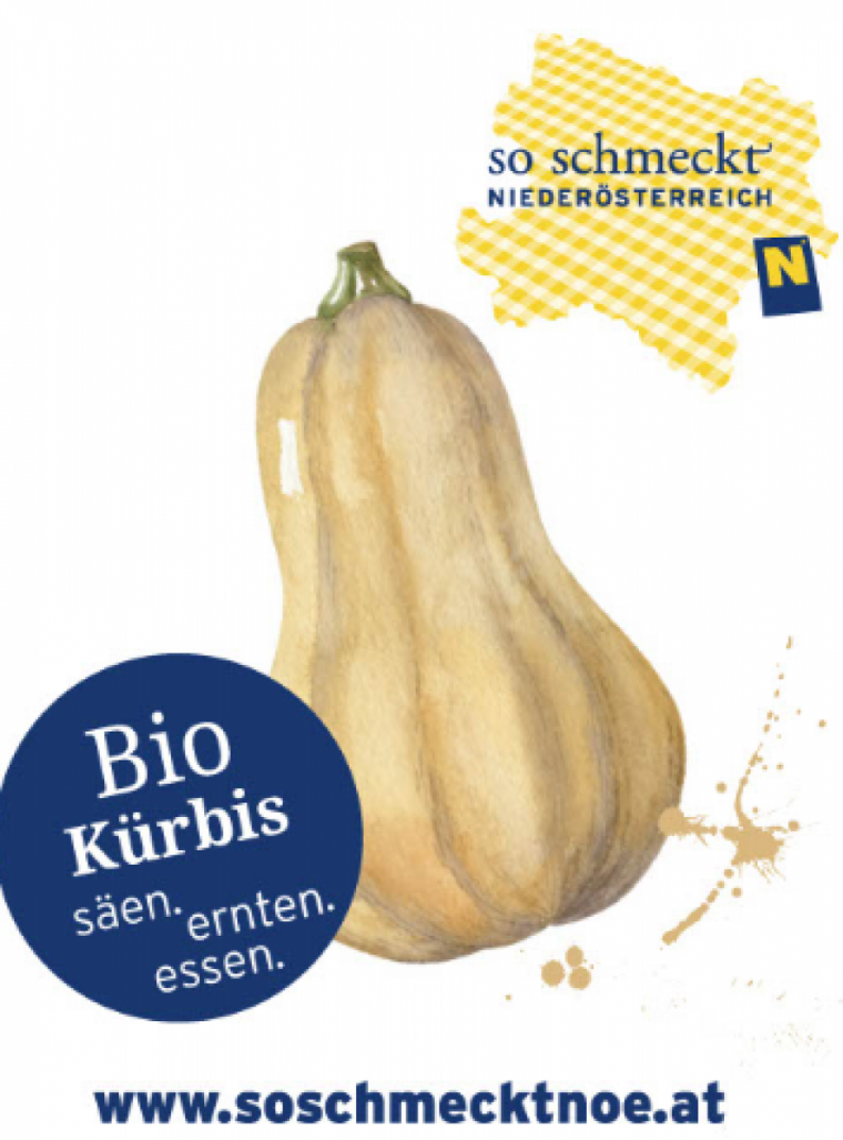 Kürbisse, Gemüsepyramide 2020