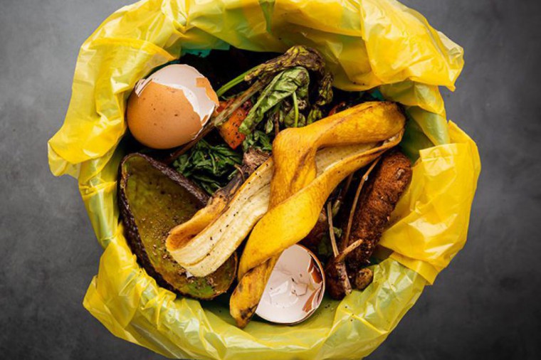 Essbare Lebensmittel im Müll - pure Ressourcenverschwendung