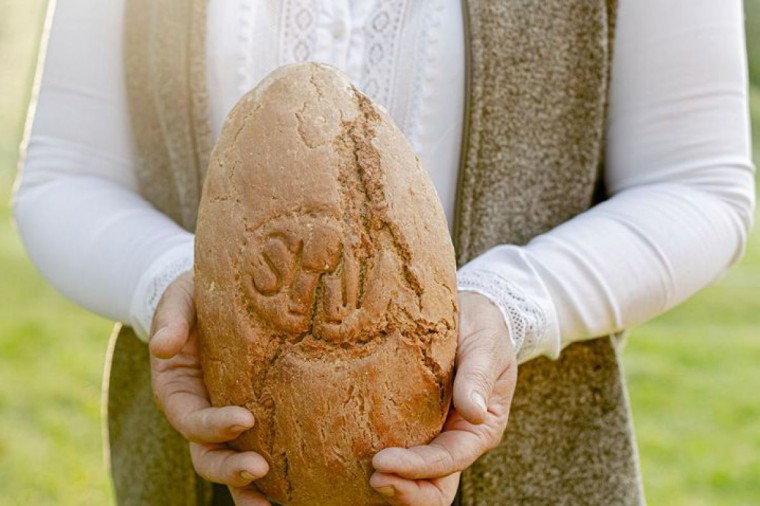 Vollkornbrot in Händen gehalten