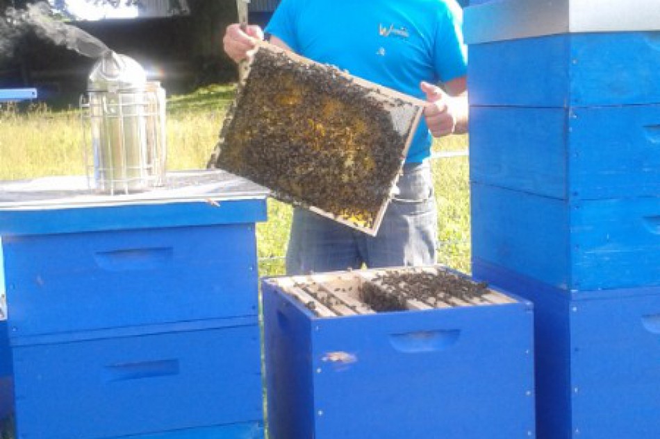Ronald Wurm mit Bienenstöcken